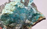 5.8cms DRUZY CHRYSOCOLLA QUARTZ CRYSTAL LILY MINE PERU 2000 YEAR DB346