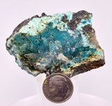 5.8cms DRUZY CHRYSOCOLLA QUARTZ CRYSTAL LILY MINE PERU 2000 YEAR DB346