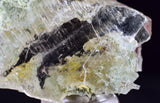 3.6cms GEM CHRYSOCOLLA INSIDE SELENITE CRYSTAL LILY MINE 2000 DISCOVERY PERU TB167