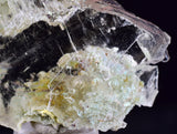 3.6cms GEM CHRYSOCOLLA INSIDE SELENITE CRYSTAL LILY MINE 2000 DISCOVERY PERU TB167