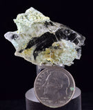 3.6cms GEM CHRYSOCOLLA INSIDE SELENITE CRYSTAL LILY MINE 2000 DISCOVERY PERU TB167