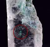 4.5cms GEM CHRYSOCOLLA ATACAMITE INSIDE SELENITE CRYSTAL LILY MINE PERU TB171