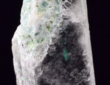 4.5cms GEM CHRYSOCOLLA ATACAMITE INSIDE SELENITE CRYSTAL LILY MINE PERU TB171