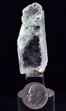 4.5cms GEM CHRYSOCOLLA ATACAMITE INSIDE SELENITE CRYSTAL LILY MINE PERU TB171
