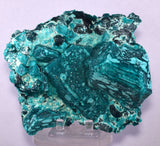 13.5cms GREEN CHALCANTHITE CRYSTAL MINERAL SPECIMEN PERU FB63