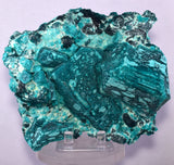 13.5cms GREEN CHALCANTHITE CRYSTAL MINERAL SPECIMEN PERU FB63