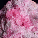 7.9cms PINK RHODONITE CRYSTALS Quartz Miniature Peru Bright Chiurucu Mine Mineral Specimen RB691