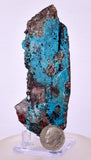 9.9cms QUARTZ CHRYSOCOLLA BOTRYOIDAL TENTADORA MINE PERU MINERAL SPECIMEN CB214