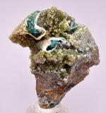 5.2cms DRUZY CHRYSOCOLLA QUARTZ CRYSTAL LILY MINE PERU 2000 YEAR DB353