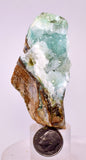 6.6cms DRUZY CHRYSOCOLLA QUARTZ CRYSTAL LILY MINE PERU 2000 YEAR DB354