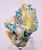 7.3cms DRUZY CHRYSOCOLLA QUARTZ CRYSTAL LILY MINE PERU 2000 YEAR DB355