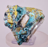 7.3cms DRUZY CHRYSOCOLLA QUARTZ CRYSTAL LILY MINE PERU 2000 YEAR DB355