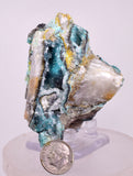 7.3cms DRUZY CHRYSOCOLLA QUARTZ CRYSTAL LILY MINE PERU 2000 YEAR DB355