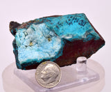 6.6cms DRUZY CHRYSOCOLLA QUARTZ CRYSTAL LILY MINE PERU 2000 YEAR DB358