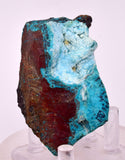 6.6cms DRUZY CHRYSOCOLLA QUARTZ CRYSTAL LILY MINE PERU 2000 YEAR DB358
