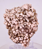 6.9cms ROSE DRUZY QUARTZ BRIGHT CRYSTALS BOTRYOIDAL PERU NEW FIND QB215