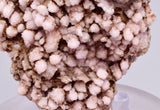 6.9cms ROSE DRUZY QUARTZ BRIGHT CRYSTALS BOTRYOIDAL PERU NEW FIND QB215