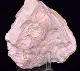 12cms RHODOCHROSITE QUARTZ CRYSTALS PERU  MINERAL SPECIMEN RB696