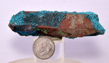 7.9ms QUARTZ CHRYSOCOLLA BOTRYOIDAL TENTADORA MINE PERU MINERAL SPECIMEN CB217