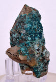 5.6ms QUARTZ CHRYSOCOLLA BOTRYOIDAL TENTADORA MINE PERU MINERAL SPECIMEN CB218