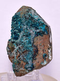 5.6ms QUARTZ CHRYSOCOLLA BOTRYOIDAL TENTADORA MINE PERU MINERAL SPECIMEN CB218