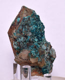 5.6ms QUARTZ CHRYSOCOLLA BOTRYOIDAL TENTADORA MINE PERU MINERAL SPECIMEN CB218