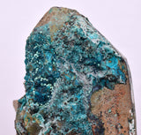 5.6ms QUARTZ CHRYSOCOLLA BOTRYOIDAL TENTADORA MINE PERU MINERAL SPECIMEN CB218