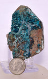 5.6ms QUARTZ CHRYSOCOLLA BOTRYOIDAL TENTADORA MINE PERU MINERAL SPECIMEN CB218