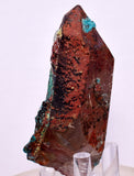 7.9ms QUARTZ CHRYSOCOLLA BOTRYOIDAL TENTADORA MINE PERU MINERAL SPECIMEN CB219