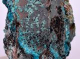 5.6ms QUARTZ CHRYSOCOLLA BOTRYOIDAL TENTADORA MINE PERU MINERAL SPECIMEN CB220