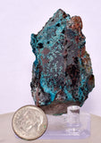 5.6ms QUARTZ CHRYSOCOLLA BOTRYOIDAL TENTADORA MINE PERU MINERAL SPECIMEN CB220
