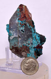 6.3ms QUARTZ CHRYSOCOLLA BOTRYOIDAL TENTADORA MINE PERU MINERAL SPECIMEN CB221