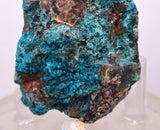 6.9ms QUARTZ CHRYSOCOLLA BOTRYOIDAL TENTADORA MINE PERU MINERAL SPECIMEN CB222