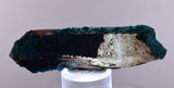7.9ms QUARTZ CHRYSOCOLLA BOTRYOIDAL TENTADORA MINE PERU MINERAL SPECIMEN CB217