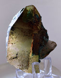 5.6ms QUARTZ CHRYSOCOLLA BOTRYOIDAL TENTADORA MINE PERU MINERAL SPECIMEN CB218