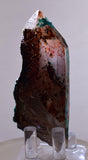 7.9ms QUARTZ CHRYSOCOLLA BOTRYOIDAL TENTADORA MINE PERU MINERAL SPECIMEN CB219