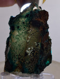 5.6ms QUARTZ CHRYSOCOLLA BOTRYOIDAL TENTADORA MINE PERU MINERAL SPECIMEN CB220