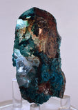 6.9ms QUARTZ CHRYSOCOLLA BOTRYOIDAL TENTADORA MINE PERU MINERAL SPECIMEN CB222