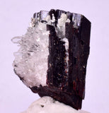 3.4cms RED HUBNERITE QUARTZ CRYSTALS PASTO BUENO PERU VERY OLD STOCK MB240