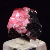 1.3cms RHODOCHROSITE CRYSTALS PERU OLD STOCK UCHUCCHACUA MINERAL SPECIMEN RB778