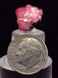 1.3cms RHODOCHROSITE CRYSTALS PERU OLD STOCK UCHUCCHACUA MINERAL SPECIMEN RB778