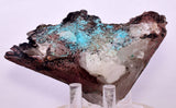 10ms QUARTZ CHRYSOCOLLA BOTRYOIDAL TENTADORA MINE PERU MINERAL SPECIMEN CB224