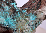 10ms QUARTZ CHRYSOCOLLA BOTRYOIDAL TENTADORA MINE PERU MINERAL SPECIMEN CB224