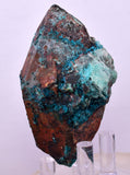 6.7cms QUARTZ CHRYSOCOLLA BOTRYOIDAL TENTADORA MINE PERU MINERAL SPECIMEN CB225