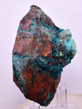6.7cms QUARTZ CHRYSOCOLLA BOTRYOIDAL TENTADORA MINE PERU MINERAL SPECIMEN CB225