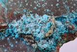 7.6cms QUARTZ CHRYSOCOLLA BOTRYOIDAL TENTADORA MINE PERU MINERAL SPECIMEN CB226