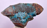 7.6cms QUARTZ CHRYSOCOLLA BOTRYOIDAL TENTADORA MINE PERU MINERAL SPECIMEN CB226
