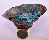 7.6cms QUARTZ CHRYSOCOLLA BOTRYOIDAL TENTADORA MINE PERU MINERAL SPECIMEN CB226