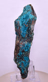 9.5cms QUARTZ CHRYSOCOLLA BOTRYOIDAL TENTADORA MINE PERU MINERAL SPECIMEN CB227