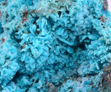 9.5cms QUARTZ CHRYSOCOLLA BOTRYOIDAL TENTADORA MINE PERU MINERAL SPECIMEN CB227